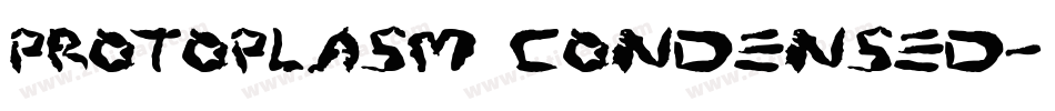 Protoplasm Condensed字体转换